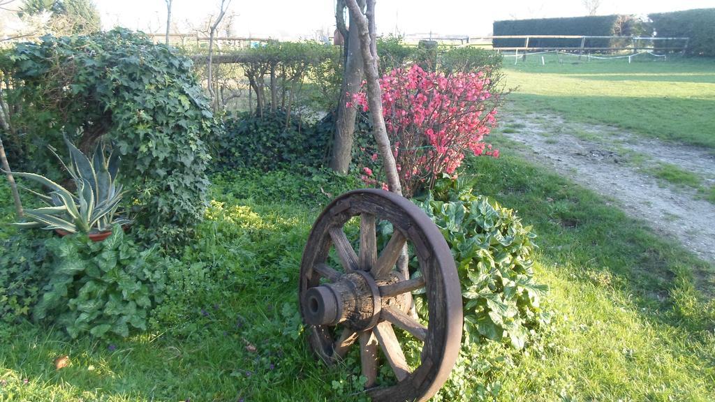 Agriturismo Loghino Caselle San Giorgio di Mantova Buitenkant foto